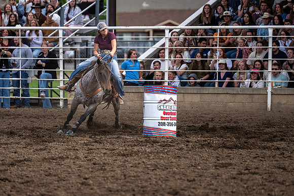 SpringFest Rodeo - June 2026