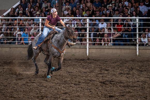 SpringFest Rodeo - June 2026