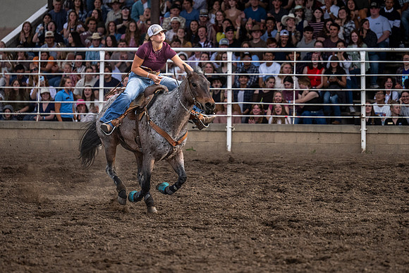 SpringFest Rodeo - June 2026