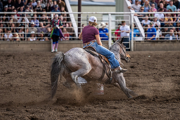 SpringFest Rodeo - June 2026