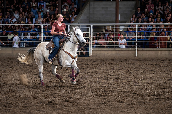 SpringFest Rodeo - June 2026