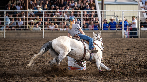 SpringFest Rodeo - June 2026