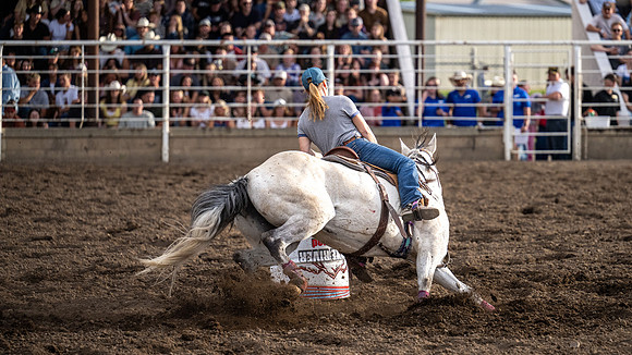 SpringFest Rodeo - June 2026