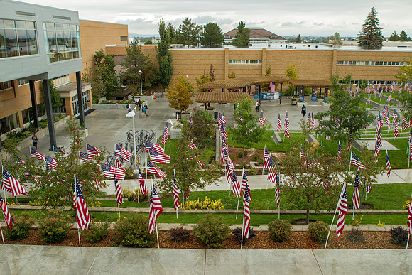 The American Flags during Constitution Day.