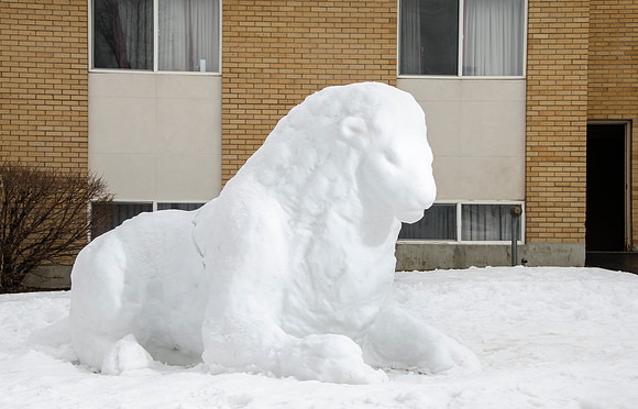 A skillfully crafted snow sculpture of a lion outside a dorm at BYU-Idaho.