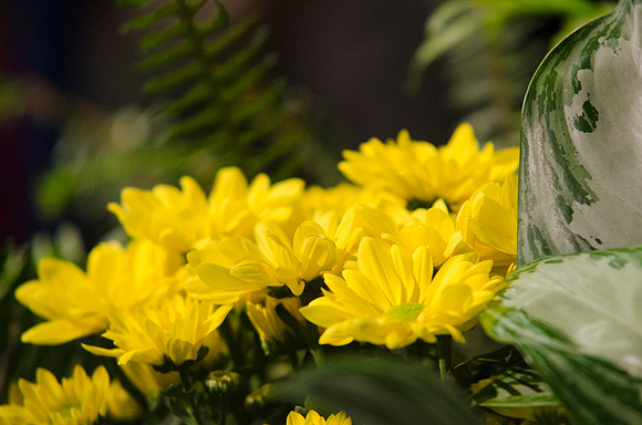 Flowers at graduation