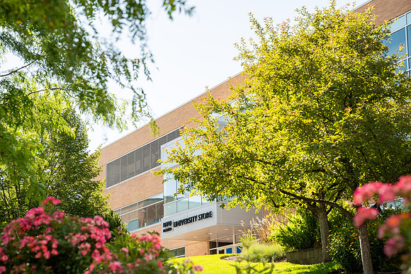 Spring Library Construction - July 2026