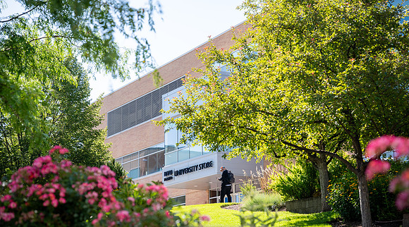 Spring Library Construction - July 2026