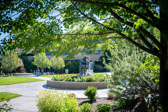 Spring Library Construction - July 2026