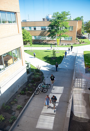 Spring Library Construction - July 2026