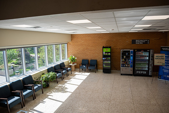 Spring Library Construction - July 2026