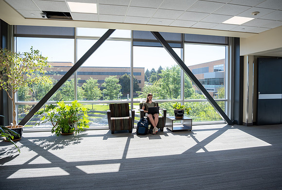 Spring Library Construction - July 2026