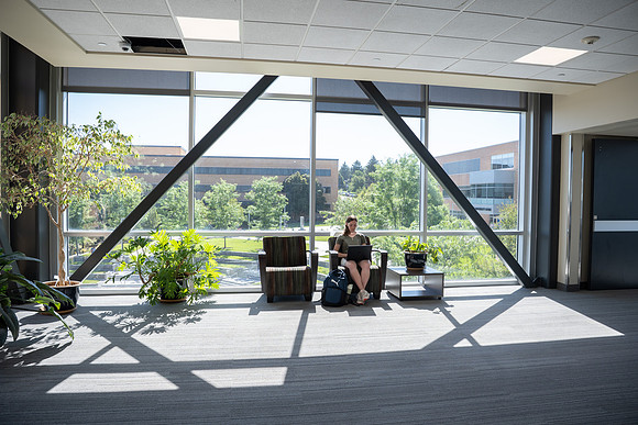 Spring Library Construction - July 2026