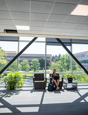 Spring Library Construction - July 2026