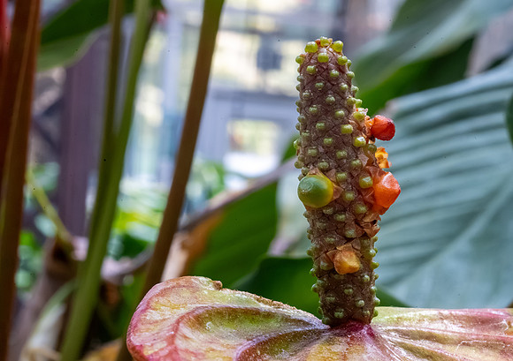 MicroBYUI - July 2026