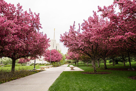 The Rexburg Temple in Spring - May 2025