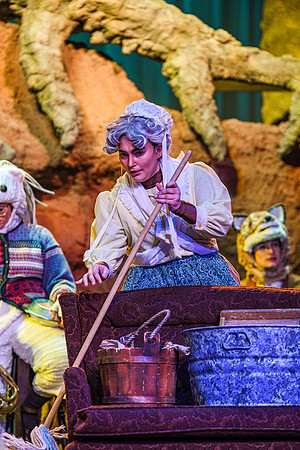The theatre department's dress rehearsal of the Wind in the Willows in the Snow Drama Theatre.