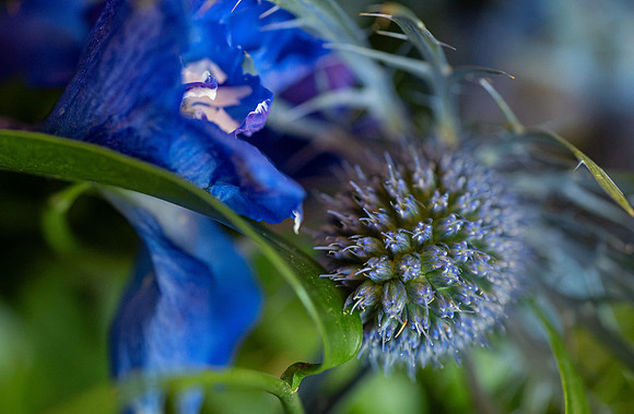 Presence in Every Petal - Jul 2026