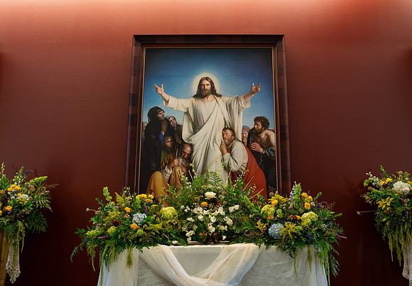 Presence in Every Petal - Jul 2026