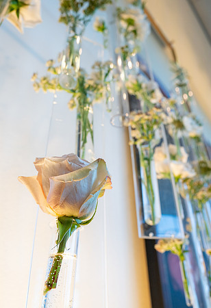 Presence in Every Petal - Jul 2026