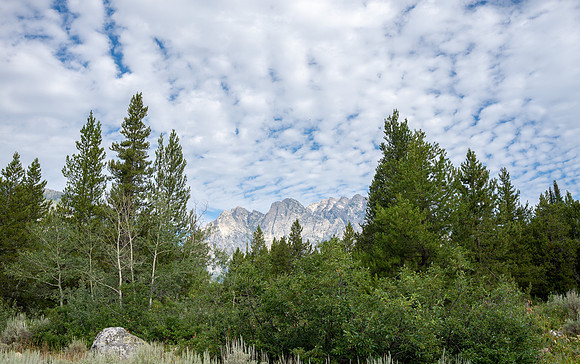 Grand Tetons - July 2026