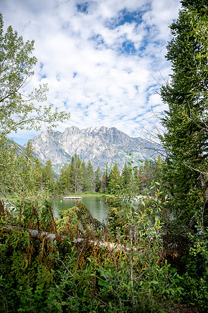 Grand Tetons - July 2026