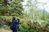 Grand Tetons - July 2026