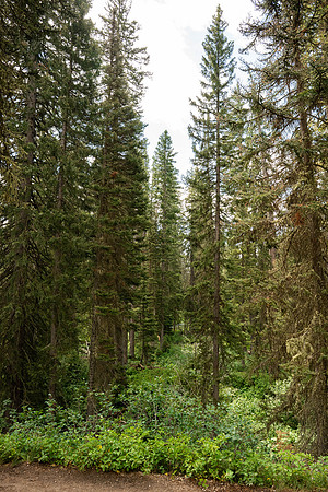 Grand Tetons - July 2026