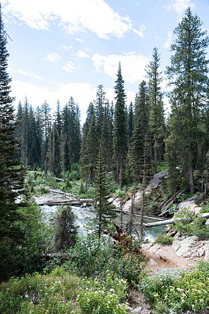 Grand Tetons - July 2026