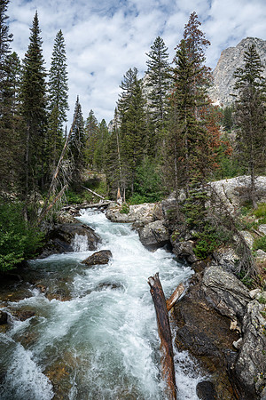 Grand Tetons - July 2026