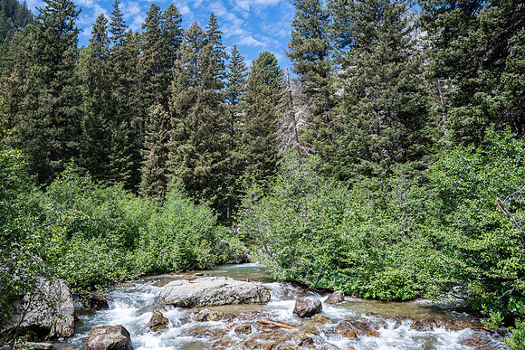 Grand Tetons - July 2026