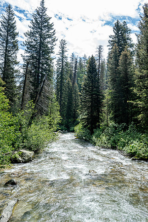 Grand Tetons - July 2026