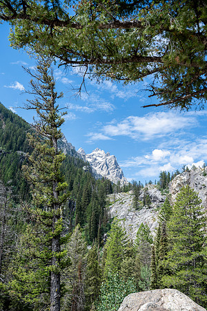Grand Tetons - July 2026