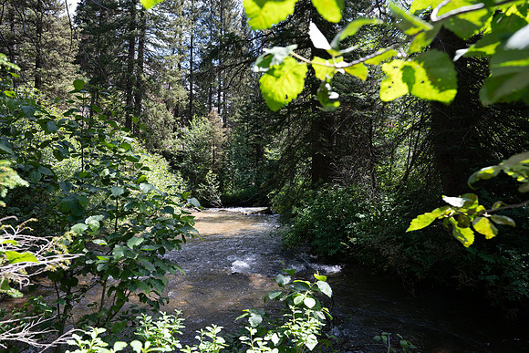 Grand Tetons - July 2026