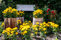 Greenhouse Flowers - July 2026
