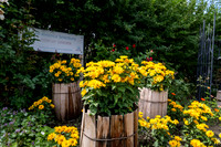 Greenhouse Flowers - July 2026