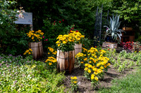Greenhouse Flowers - July 2026