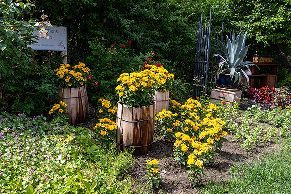 Greenhouse Flowers - July 2026