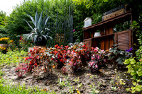 Greenhouse Flowers - July 2026
