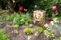 Greenhouse Flowers - July 2026