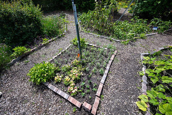 Greenhouse Flowers - July 2026