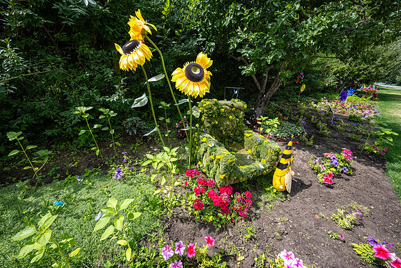 Greenhouse Flowers - July 2026