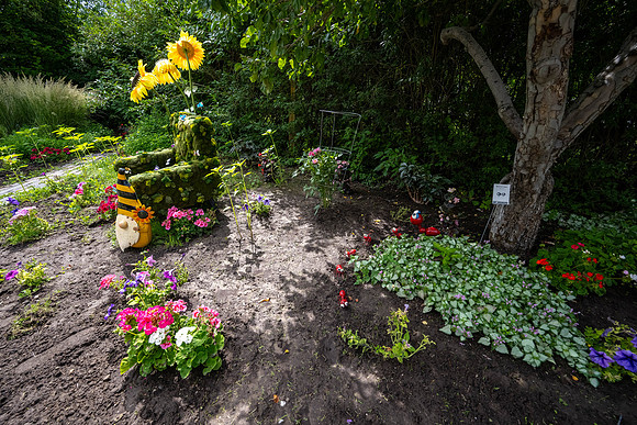 Greenhouse Flowers - July 2026