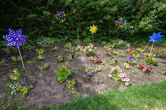 Greenhouse Flowers - July 2026