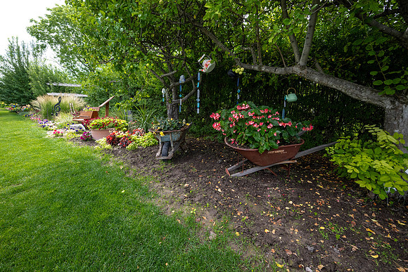 Greenhouse Flowers - July 2026