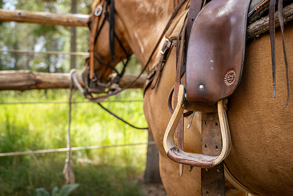 HorseBackRriding - July 2026