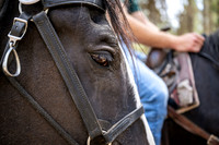 HorseBackRriding - July 2026