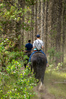 HorseBackRriding - July 2026