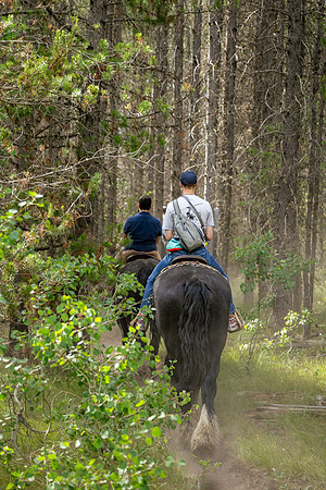 HorseBackRriding - July 2026