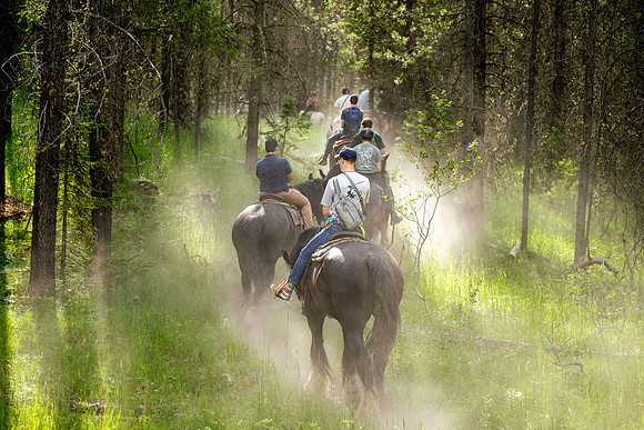 HorseBackRriding - July 2026